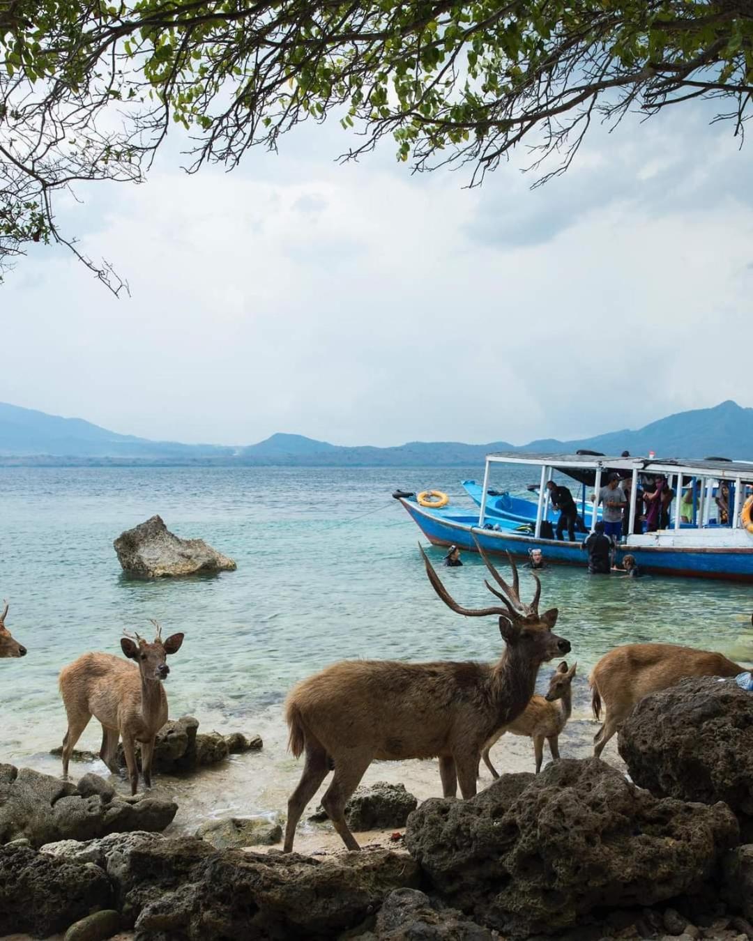 Putu Guest House Pemuteran Εξωτερικό φωτογραφία