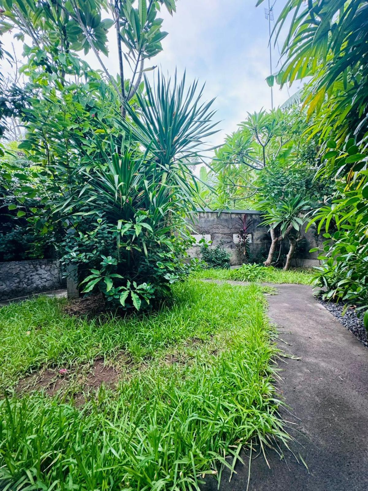 Putu Guest House Pemuteran Εξωτερικό φωτογραφία