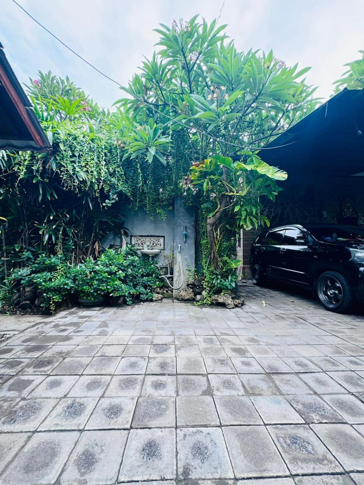 Putu Guest House Pemuteran Εξωτερικό φωτογραφία